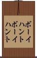 ボーイハント Scroll