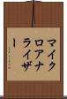マイクロアナライザー Scroll