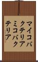 マイコバクテリア Scroll