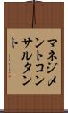 マネジメントコンサルタント Scroll