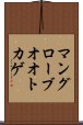 マングローブオオトカゲ Scroll