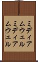 ミディアムウェル Scroll