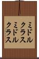 ミドルクラス Scroll