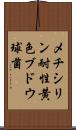 メチシリン耐性黄色ブドウ球菌 Scroll