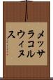 メッサラコルウィヌス Scroll