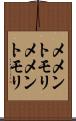 メメントモリ Scroll