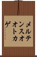 メルテンスオオトカゲ Scroll