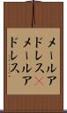 メールアドレス(P) Scroll