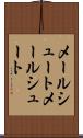 メールシュート Scroll
