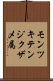 モンツキテンジクザメ属 Scroll