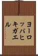ヨーロッパヒキガエル Scroll