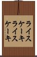 ライスケーキ Scroll