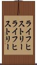 ライフヒストリー Scroll