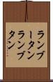 ランブータン Scroll