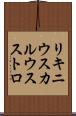 リキニウス・カルウス・ストロ Scroll