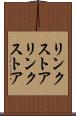 リンクストア Scroll