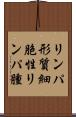 リンパ形質細胞性リンパ腫 Scroll