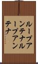 ループアンテナ Scroll