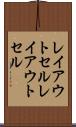 レイアウトセル Scroll