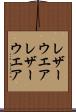 レザーウエア Scroll