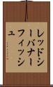 レッドシー・バナーフィッシュ Scroll
