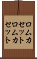 ロムカセット Scroll