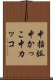 中括弧 Scroll