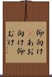 仰向け(P) Scroll