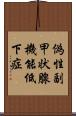 偽性副甲状腺機能低下症 Scroll