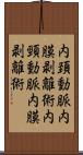 内頚動脈内膜剥離術 Scroll