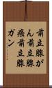 前立腺がん Scroll