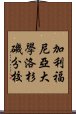 加利福尼亞大學洛杉磯分校 Scroll