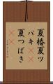 夏椿 Scroll