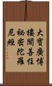 大寶廣博樓閣善住祕密陀羅尼經 Scroll