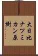 大日比ナツミカン原樹 Scroll