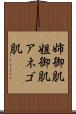 姉御肌 Scroll
