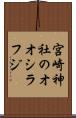 宮崎神社のオオシラフジ Scroll