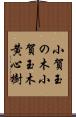 小賀玉の木 Scroll