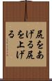 尻をあげる Scroll