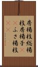 房楊枝 Scroll