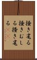 掻き毟る Scroll