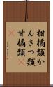 柑橘類;かんきつ類;甘橘類(iK) Scroll