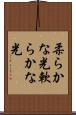 柔らかな光 Scroll