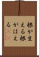 根が生える Scroll