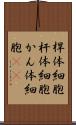 桿体細胞 Scroll