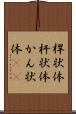 桿状体 Scroll