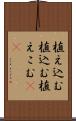 植え込む Scroll