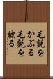 毛氈をかぶる Scroll