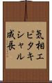 気相エピタキシャル成長 Scroll