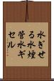 水ぎせる Scroll